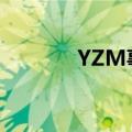 YZM事件是什么（yzm事件）