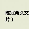 陈冠希头文字d图片高清（陈冠希头文字d图片）