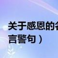 关于感恩的名言警句摘抄大全（关于感恩的名言警句）