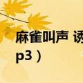 麻雀叫声 诱捕 mp3试听（麻雀叫声 诱捕 mp3）