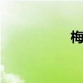梅妍凌百科（梅妍凌）