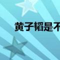 黄子韬是不是exo的成员（exo的成员）