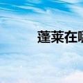 蓬莱在哪里赶海啊（蓬莱在哪里）