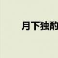 月下独酌翻译视频（月下独酌翻译）