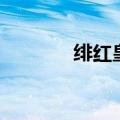绯红皇后鸡尾酒（绯红皇后）