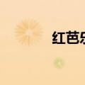 红芭乐是什么东西（红芭乐）