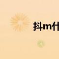 抖m什么意思（dm什么意思）