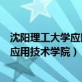 沈阳理工大学应用技术学院是公办还是民办（沈阳理工大学应用技术学院）