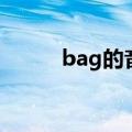 bag的音标怎么读（bag的音标）