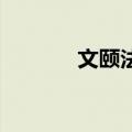 文颐法语说了啥（文颐 法语）