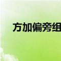 方加偏旁组成新字（力加偏旁组成新字）