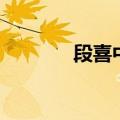 段喜中之女段宜欣（段喜中）