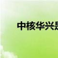 中核华兴是央企还是国企（中核华兴）