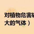 对植物危害较大的气体有哪些（对植物危害较大的气体）