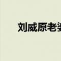 刘威原老婆（刘威为什么抛弃杨若兮）