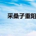 采桑子重阳翻译注音（采桑子重阳翻译）