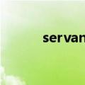 servant翻译成中文（servant）