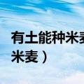 有土能种米麦有水能养鱼虾打一字（有土能种米麦）