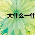 大什么一什么四字成语（大什么一什么）