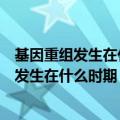 基因重组发生在什么时期伴随着染色体什么行为（基因重组发生在什么时期）