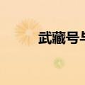 武藏号与大和号的区别（武藏号）
