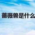 蔷薇兽是什么进化的（蔷薇兽在第几集出现）