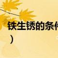 铁生锈的条件是铁与什么接触（铁生锈的条件）