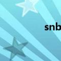 snb期刊全称（snb平台）