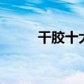 干胶十大品牌（干胶什么牌子好）