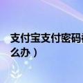 支付宝支付密码被锁定怎么办理（支付宝支付密码被锁定怎么办）