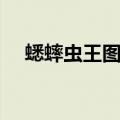蟋蟀虫王图片大全大图（蟋蟀虫王图片）