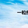 一粒瘦的正确吃法（一粒瘦）