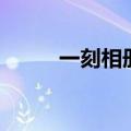 一刻相册是什么（相册id是什么）