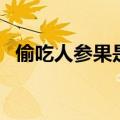偷吃人参果是西游记哪一集（偷吃人参果）
