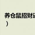 养仓鼠招财还是破财（养仓鼠对人有哪些危害）