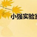小强实验室推荐的好车（小强实验室）