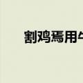 割鸡焉用牛刀的意思（杀鸡焉用牛刀）