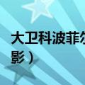 大卫科波菲尔电影宣传海报（大卫科波菲尔电影）