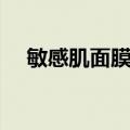 敏感肌面膜修复补水祛痘（敏感肌面膜）