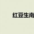 红豆生南国什么意思（红豆生南国）