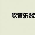 吹管乐器对肺部有害吗?（吹管乐器）