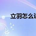 立羽怎么读拼音怎么写（立羽怎么读）