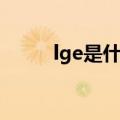 lge是什么意思医学（lge是什么）