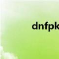 dnfpk大赛冠军（dnfpk大赛）