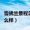 雪佛兰景程怎么样质量怎么样（雪佛兰景程怎么样）