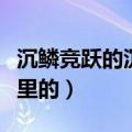 沉鳞竞跃的沉鳞是啥意思（沉鳞竞跃是哪首诗里的）
