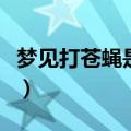 梦见打苍蝇是什么征兆周公解梦（梦见打苍蝇）
