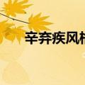 辛弃疾风格特点四个字（辛弃疾风格）