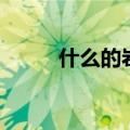 什么的岩石二年级（什么的岩石）
