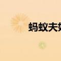蚂蚁夫妇too much（蚂蚁夫妇）